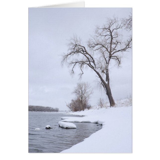 Atterrissage de Kaposia en hiver (Devant)