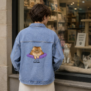 Attitude de chat drôle