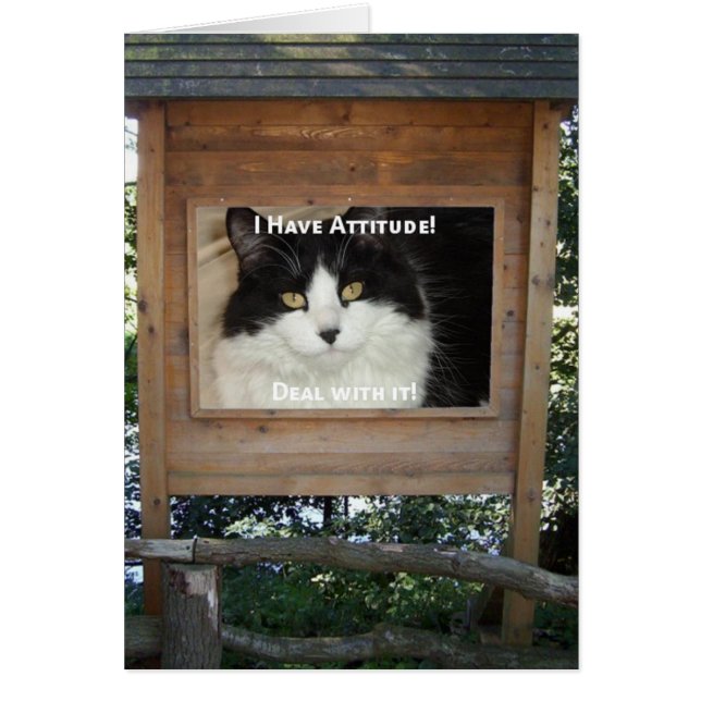 Attitude du chat (Devant)