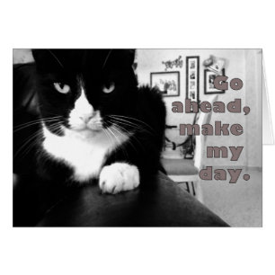 Attitude Kitty - Allez-y, faites ma carte de jour