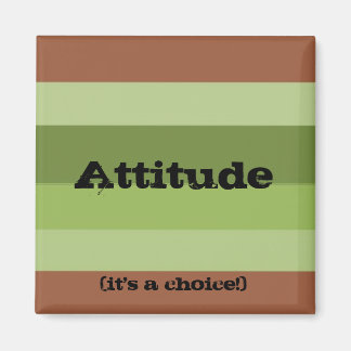Attitude Magnet