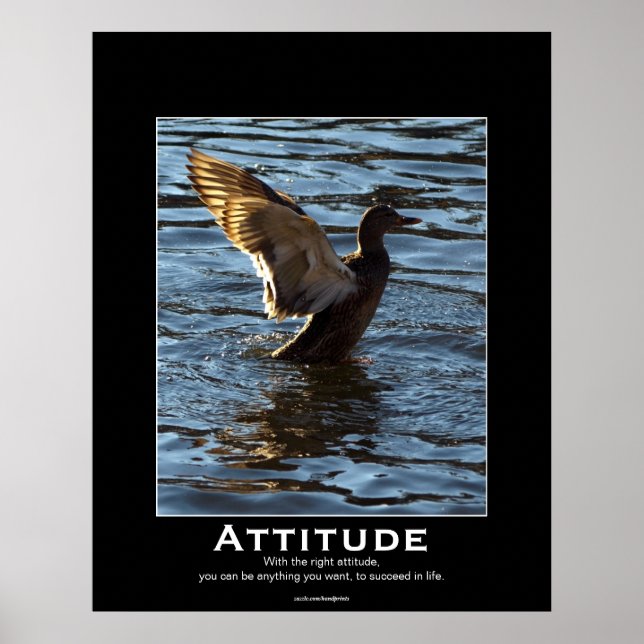 Attitude Mallard Canard Motivation Affiches (Devant)