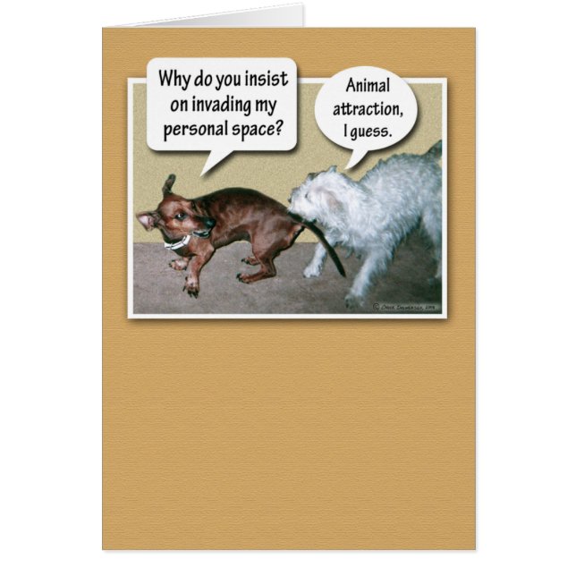 Attraction animale drôle (Devant)