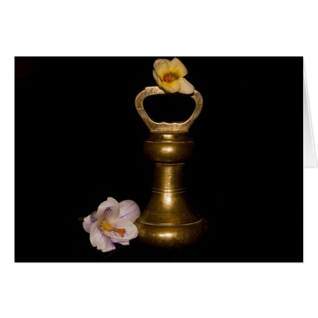 Attraction florale (Devant horizontal)