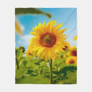 Attractive field with bright yellow sunflowers clo fleece blanket