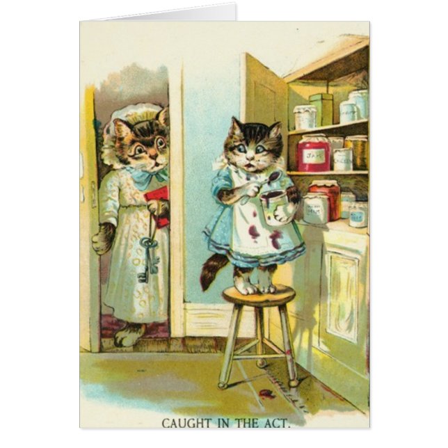 Attrapé dans la Loi (Devant)