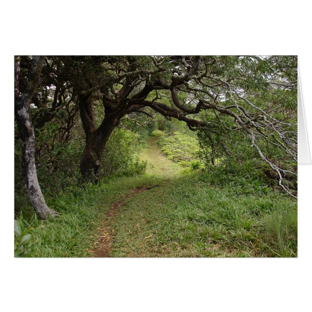 Au-dessus de la vallée de Manoa (Devant horizontal)