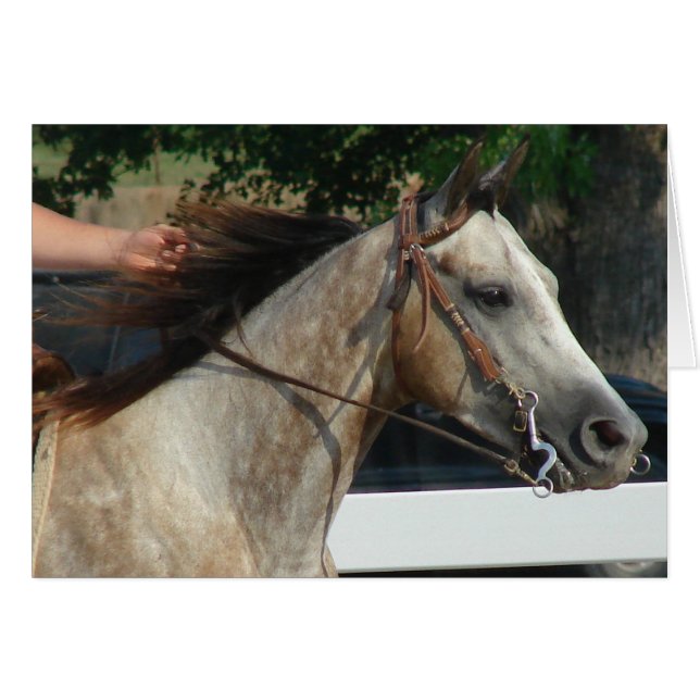 Au Horse Show (Devant horizontal)