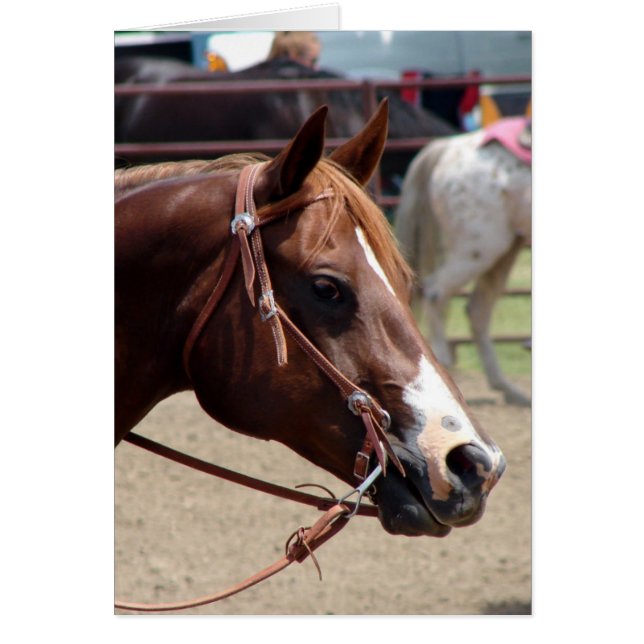 Au Horse Show (Devant)