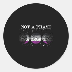 Aual Pride Flag Not A Phase _1 Classic Round Sticker