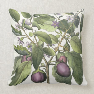 Aubergine: Melanzana fructu pallido, from the 'Hor Throw Pillow