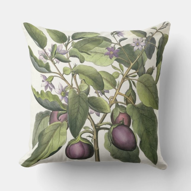 Aubergine: Melanzana fructu pallido, from the 'Hor Throw Pillow (Front)