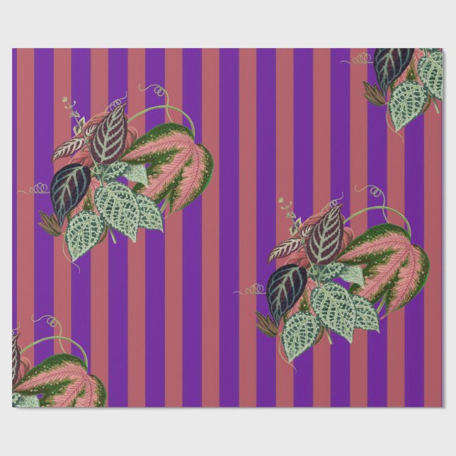 Aubergine Wrapping Paper (Flat)