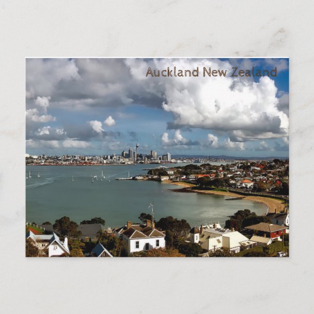 Auckland New Zealand Bay Postcard (Front)