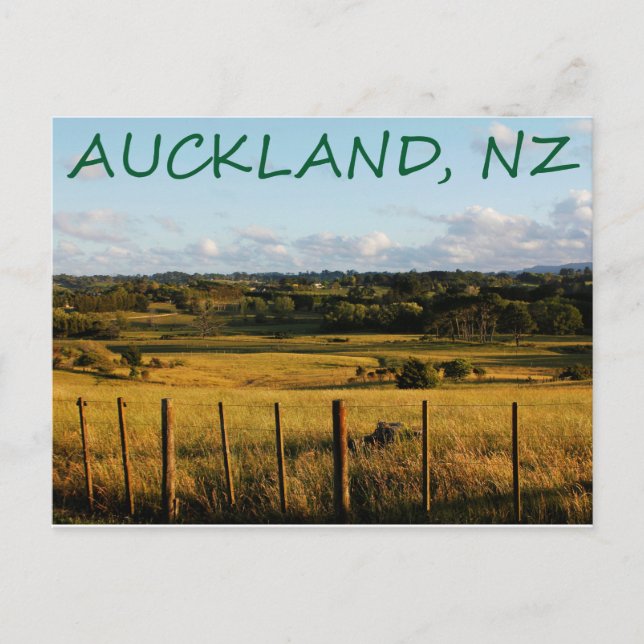 Auckland, New Zealand Post Card (Front)
