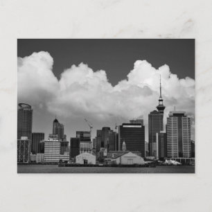 Auckland New Zealand Postcard