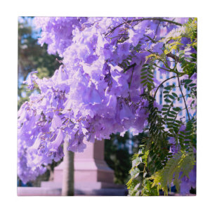 Auckland's Purple Princess Tree Decorative Tiles