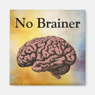 Aucun aimant de cerveau