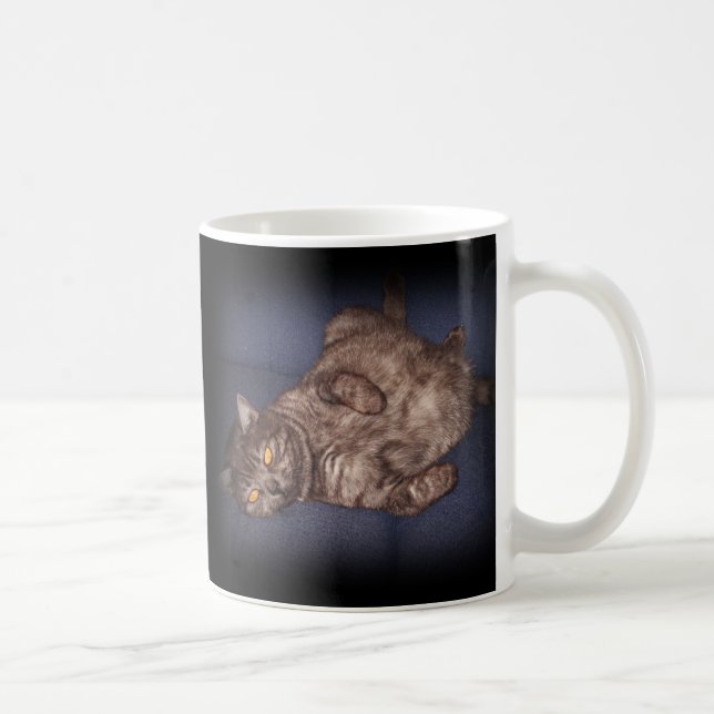 Aucun moment de tasse de chat de citation de temps (Droite)