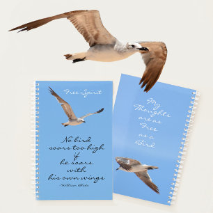 Aucun Oiseau Sort Trop Haut Sens Libre Bleu