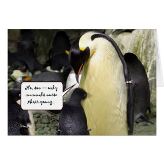 Aucun pingouin libre de déjeuner