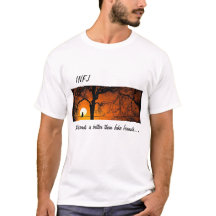 "Aucun T-shirt des amis" - INFJ