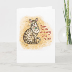 Aucune carte de voeux ordinaire de blanc de chat