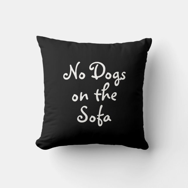 Aucuns chiens sur le coussin de sofa (Recto)