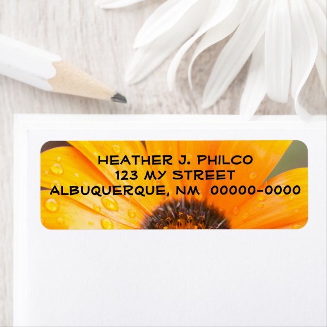 Audacieux Orange Humide Mi-Gros Plan (En situation)