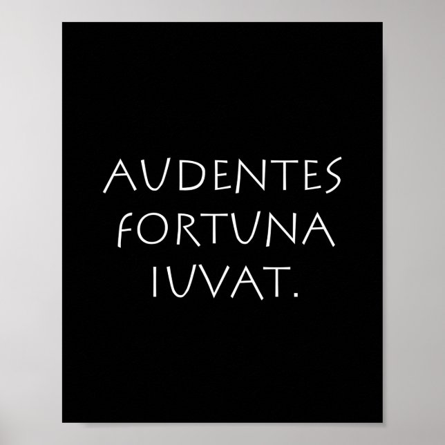 Audentes fortuna iuvat poster (Front)