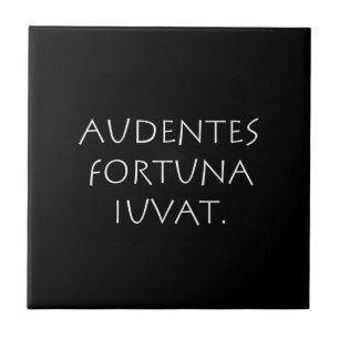 Audentes fortuna iuvat tile