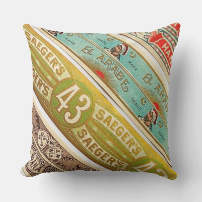 audiophilias.com THE THINGS YOU CAN'T THROW AWAY Pillow (Front)