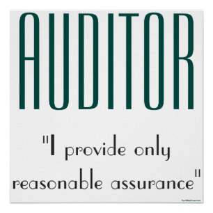 "Auditor: I Provide Only Reasonable Assurance" Poster