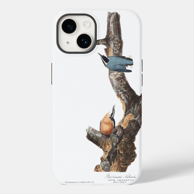 Audobon Red-Breasted Nuthatch Case-Mate iPhone Case (Back)