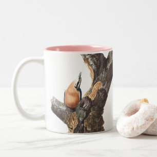 Audobon Red-Breasted Nuthatch Two-Tone Coffee Mug