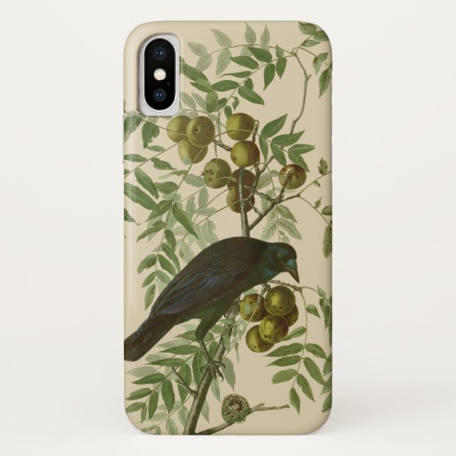 Audubon American Crow Black Bird Case-Mate iPhone Case (Back)