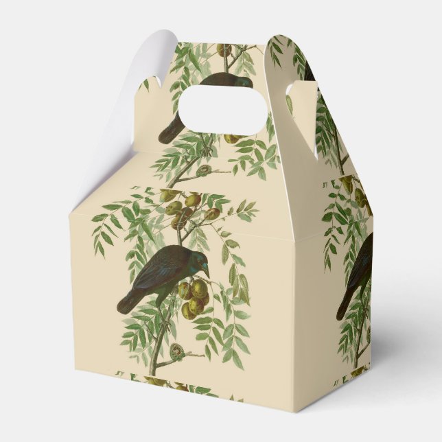 Audubon American Crow Black Bird Favor Box (Front Side)