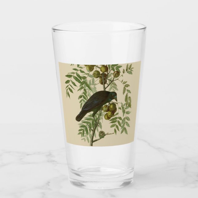 Audubon American Crow Black Bird Glass (Front)