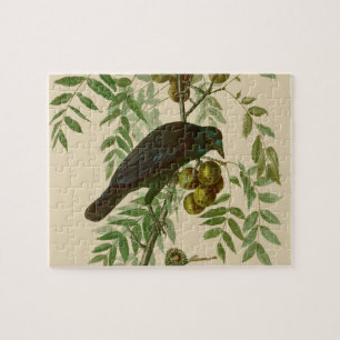 Audubon American Crow Black Bird Jigsaw Puzzle