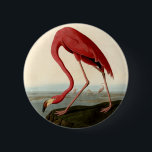 Audubon American Flamingo 2 Inch Round Button<br><div class="desc">Audubon Birds - The Rare American Flamingo John James Audubon created this beautiful American Flamingo illustrationt, an aquatint engraving with original hand colouring, and published it in the famous original Birds of America books produced in the early 1800s. The American Flamingo is a beautiful print -- one of Audubon's rarest...</div>