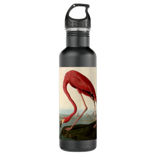 Audubon American Flamingo 710 Ml Water Bottle