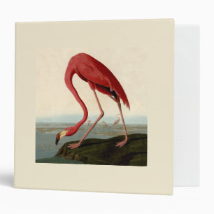 Audubon American Flamingo Binder