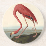 Audubon American Flamingo Coaster<br><div class="desc">Audubon Birds - John James Audubon - American Flamingo John James Audubon created this beautiful American Flamingo illustration, an aquatint engraving with original hand coloring, and published it in the famous original Birds of America books produced in the early 1800s. The American Flamingo is a beautiful print -- one of...</div>