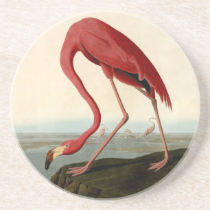 Audubon American Flamingo Coaster