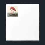 Audubon American Flamingo Notepad<br><div class="desc">Audubon Birds - John James Audubon - American Flamingo John James Audubon created this beautiful American Flamingo illustration, an aquatint engraving with original hand colouring, and published it in the famous original Birds of America books produced in the early 1800s. The American Flamingo is a beautiful print -- one of...</div>