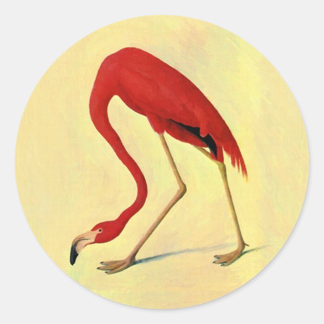 Audubon American Flamingo Painting Classic Round Sticker (Front)