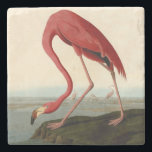Audubon American Flamingo Stone Coaster<br><div class="desc">Audubon Birds - John James Audubon - American Flamingo John James Audubon created this beautiful American Flamingo illustration, an aquatint engraving with original hand colouring, and published it in the famous original Birds of America books produced in the early 1800s. The American Flamingo is a beautiful print -- one of...</div>