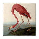 Audubon American Flamingo Tile<br><div class="desc">Audubon Birds - John James Audubon - American Flamingo John James Audubon created this beautiful American Flamingo illustration, an aquatint engraving with original hand colouring, and published it in the famous original Birds of America books produced in the early 1800s. The American Flamingo is a beautiful print -- one of...</div>