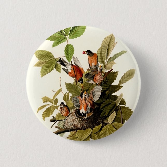 Audubon American Robin Wildlife Bird Illustration 2 Inch Round Button (Front)