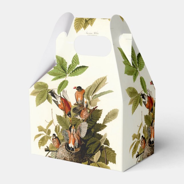 Audubon American Robin Wildlife Bird Illustration Favor Box (Front Side)